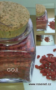 Goji rosenet.cz